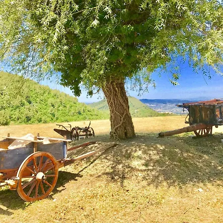 Sole Vini In The Heavenly Heart Of Umbria On Of The World Sleeps 50 Βίλα *
